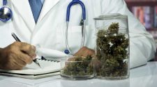 cannabis terapeutica medicomm