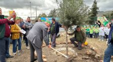 Giornata nazionale degli alberi